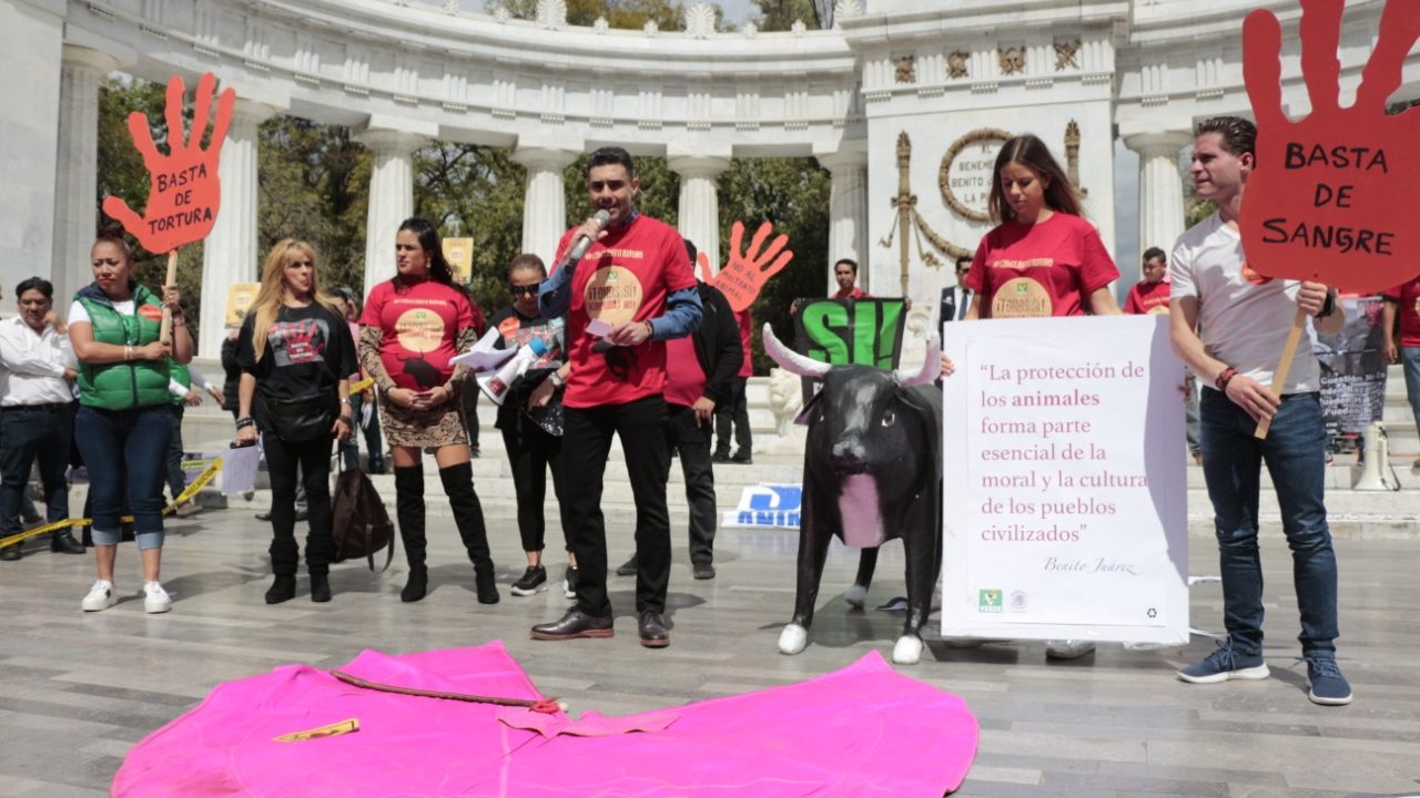 PARTIDO VERDE POR UNA CIUDAD SIN CORRIDAS DE TOROS: JESÚS SESMA﻿
