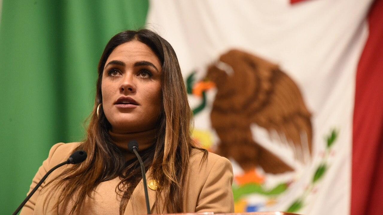 CELEBRA ALE ROJO DE LA VEGA APROBACIÓN DE LA PROPUESTA DEL PARTIDO VERDE SOBRE CÁNCER INFANTIL