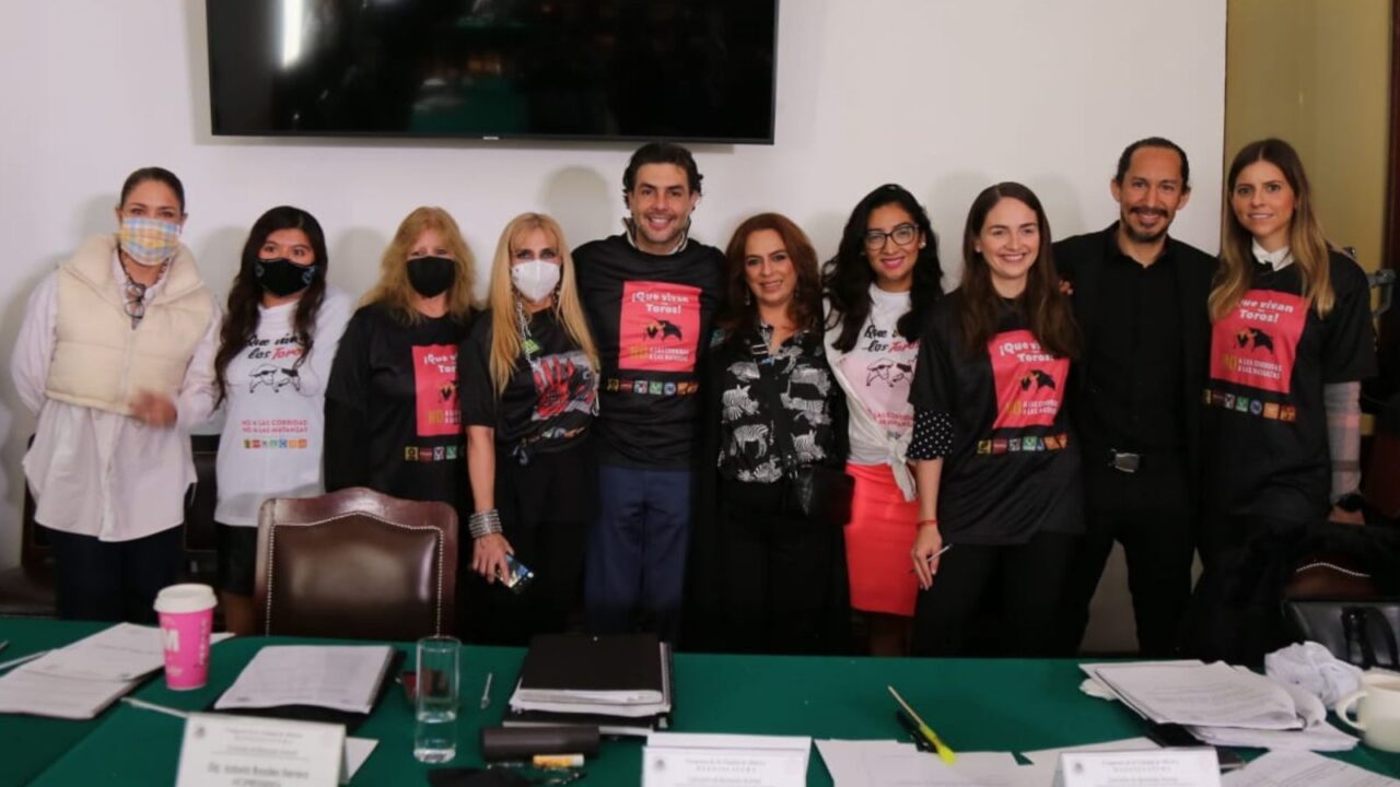 APRUEBA COMISIÓN DE BIENESTAR ANIMAL DICTAMEN POR EL QUE SE PROHÍBEN LAS CORRIDAS DE TOROS EN LA CIUDAD DE MÉXICO