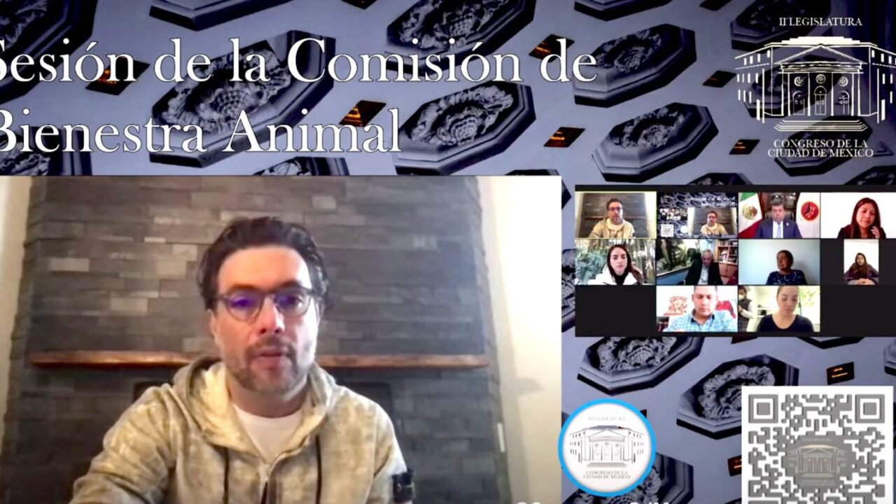 LEGISLADORES DE LA COMISIÓN DE BIENESTAR ANIMAL REALIZAN MESA DE TRABAJO CON LÍDER SINDICAL TAURINO