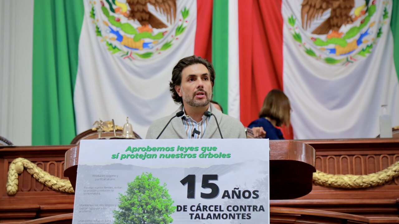 URGE UNA MAYOR PROTECCIÓN PARA LOS ÁRBOLES DE LA CIUDAD: SESMA SUÁREZ