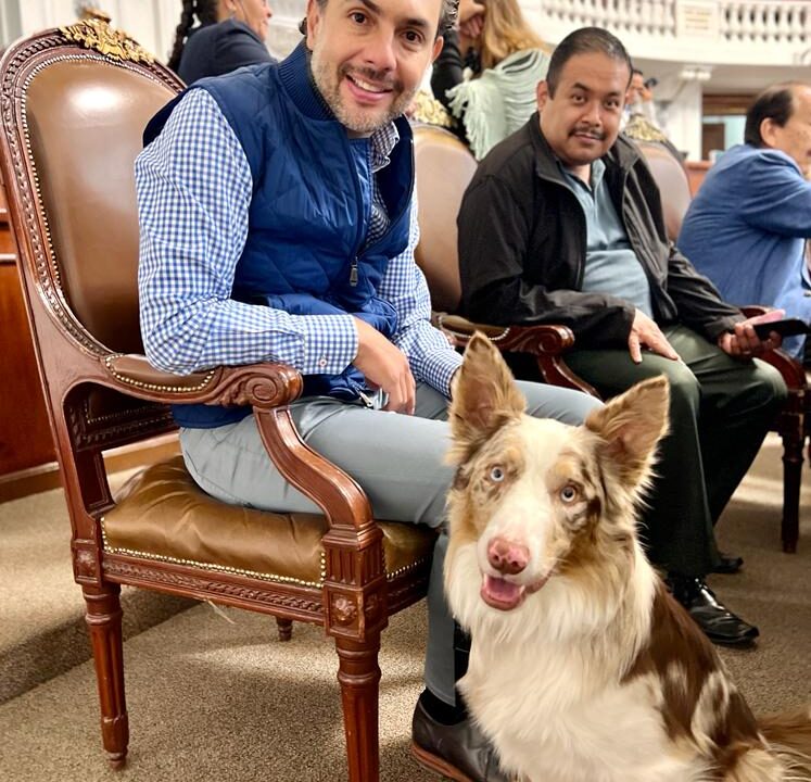 PEDIRÁ CHUCHO SESMA A PROPAEM INFORMAR AL CONGRESO DE LA CDMX SOBRE EL PRESUNTO SACRIFICIO DE MÁS DE 200 PERROS Y GATOS EN EL AIFA
