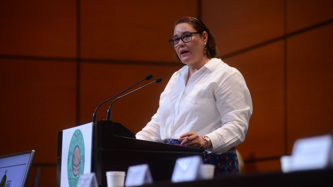 EL PARTIDO VERDE CDMX LLAMA A DEFENDER EL ARBOLADO URBANO ESTE DÍA NACIONAL DEL ÁRBOL