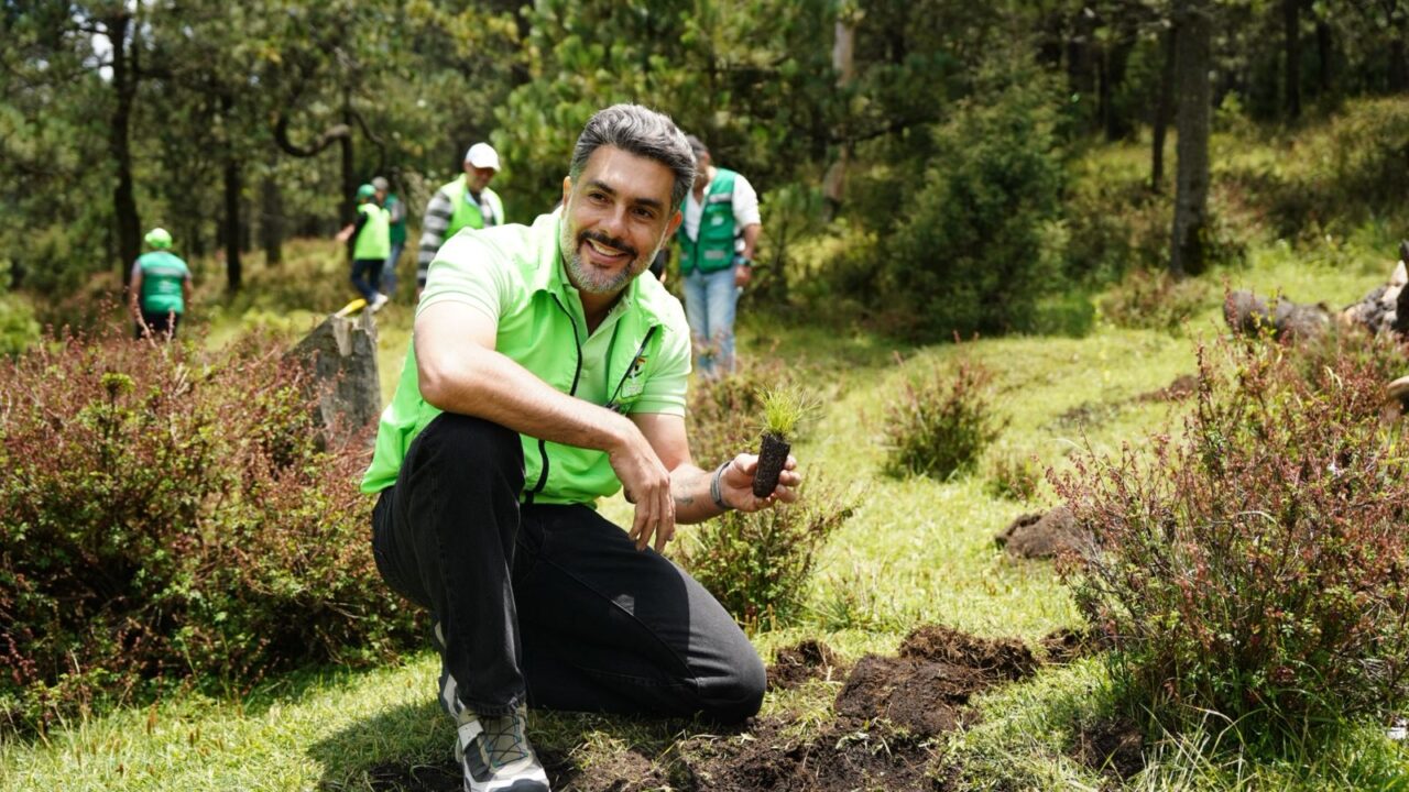 REALIZA PVEM-CDMX REFORESTACIÓN EN TLALPAN
