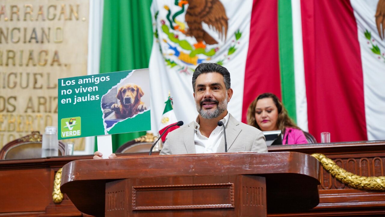 EL PARTIDO VERDE CDMX EXIGE PONER FIN A LA EXHIBICIÓN DE ANIMALES EN VITRINAS: “¡ALTO A LA COSIFICACIÓN ANIMAL!”