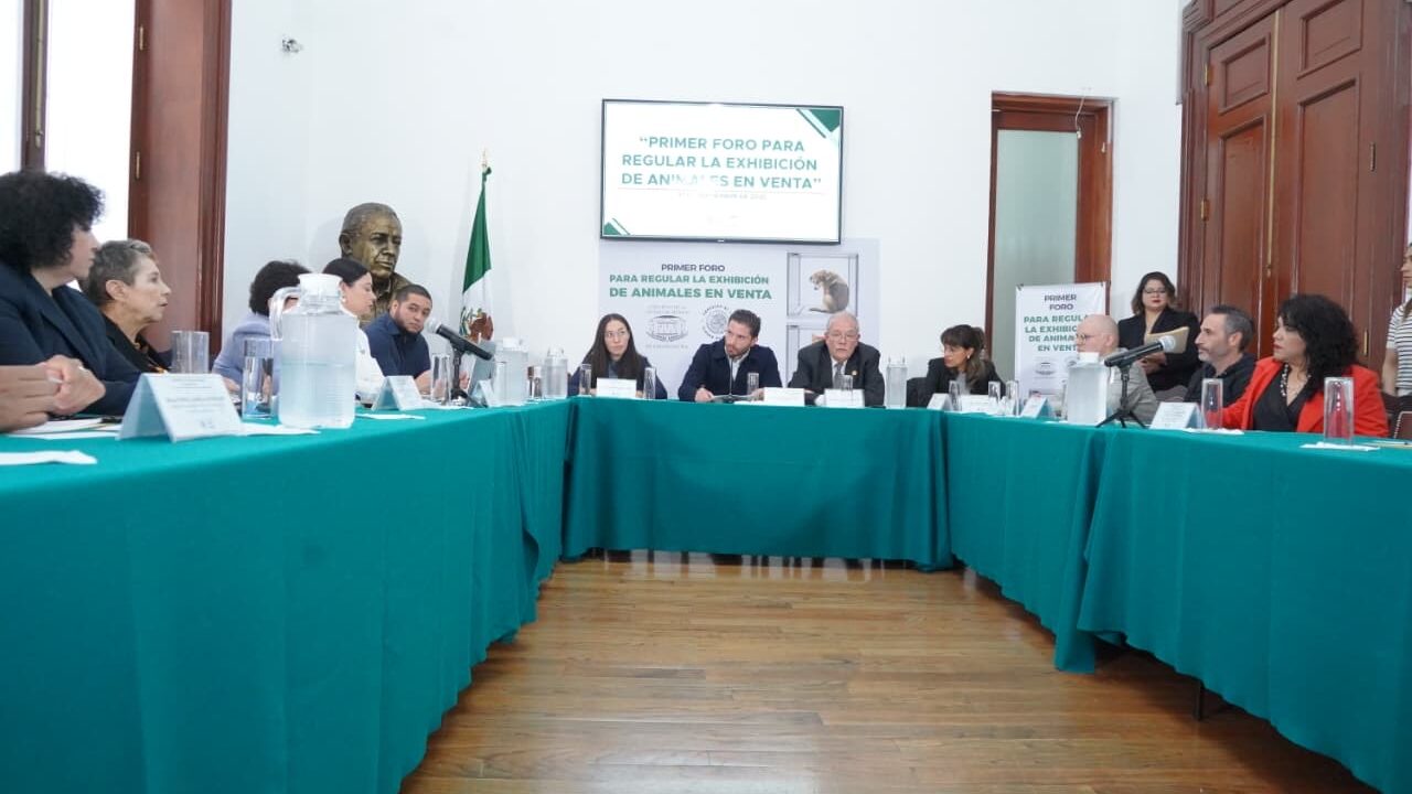RESPALDA PVEM-CDMX INICIATIVA PARA PROHIBIR LA EXHIBICIÓN DE ANIMALES EN VENTA