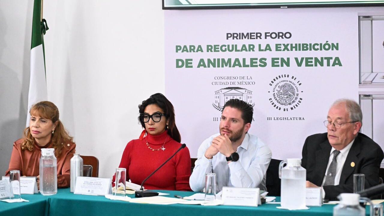 REALIZA COMISIÓN DE BIENESTAR ANIMAL PRIMER FORO PARA REGULAR LA EXHIBICIÓN FÍSICA DE ANIMALES EN VENTA EN LA CDMX