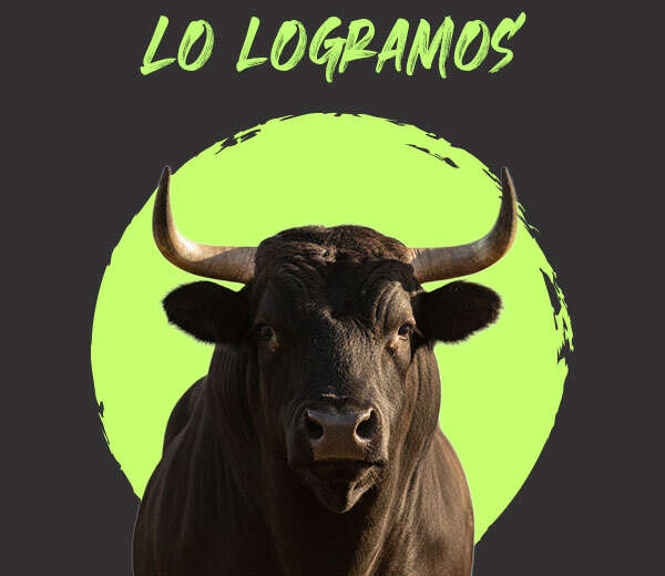 CORRIDAS DE TOROS SIN SANGRE, EL PRINCIPIO DEL FIN DE LA TAUROMAQUIA: JESÚS SESMA