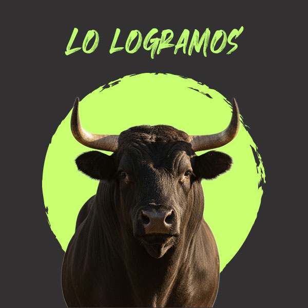 CORRIDAS DE TOROS SIN SANGRE, EL PRINCIPIO DEL FIN DE LA TAUROMAQUIA: JESÚS SESMA