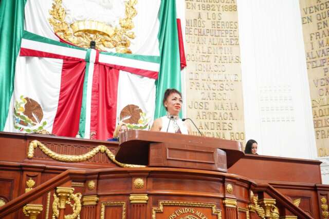 DEBERÍAN LLEVAR LIBROS, CUADERNOS Y SUEÑOS, NO ARMAS: PARTIDO VERDE