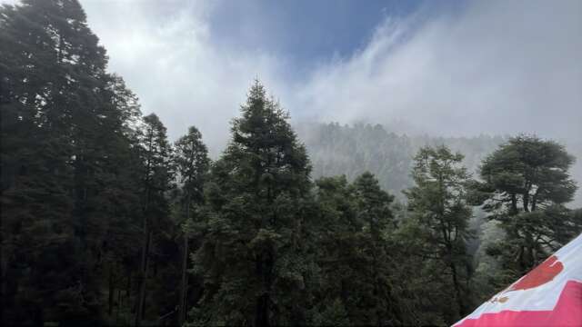 PVEM LLAMA A REFLEXIONAR Y ACTUAR EN FAVOR DE LA NATURALEZA PVEM LLAMA A REFLEXIONAR Y ACTUAR EN FAVOR DE LA NATURALEZA
