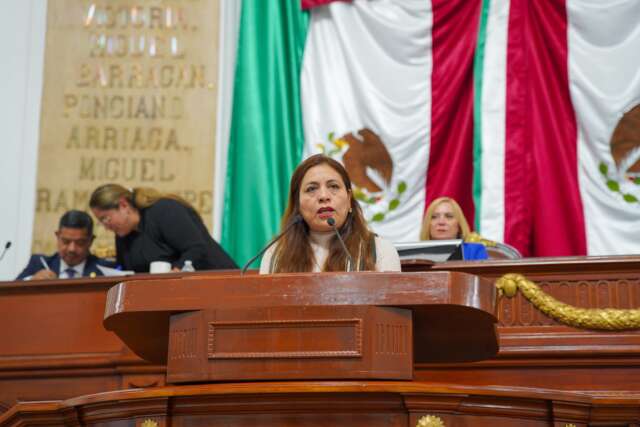 PARTIDO VERDE PIDE TRANSPARENTAR EL REORDENAMIENTO TERRITORIAL EN TLÁHUAC PARTIDO VERDE PIDE TRANSPARENTAR EL REORDENAMIENTO TERRITORIAL EN TLÁHUAC