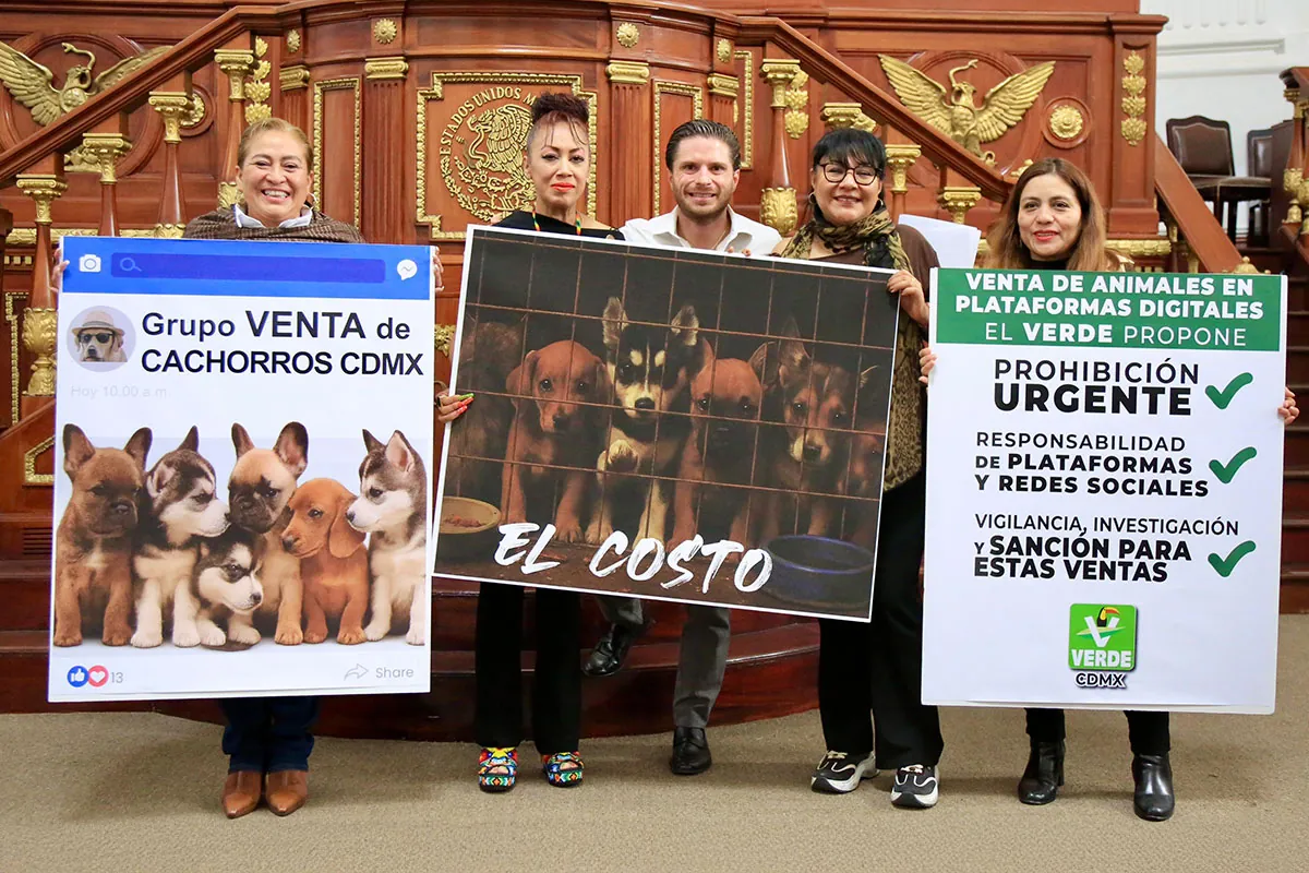 Partido Verde logra aprobación para combatir la venta ilegal de animales en redes sociales