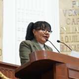 PARTIDO VERDE PIDE RESCATAR ABEJAS Y EVITAR ATAQUES PELIGROSOS 