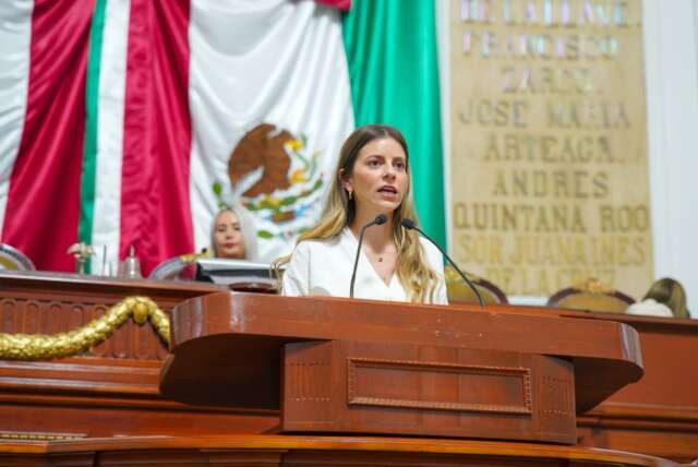 ESPACIOS DEPORTIVOS EN LA CDMX EN PELIGRO: DIP. ELVIA ESTRADA 